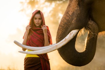 Luxury & Wellness Travel